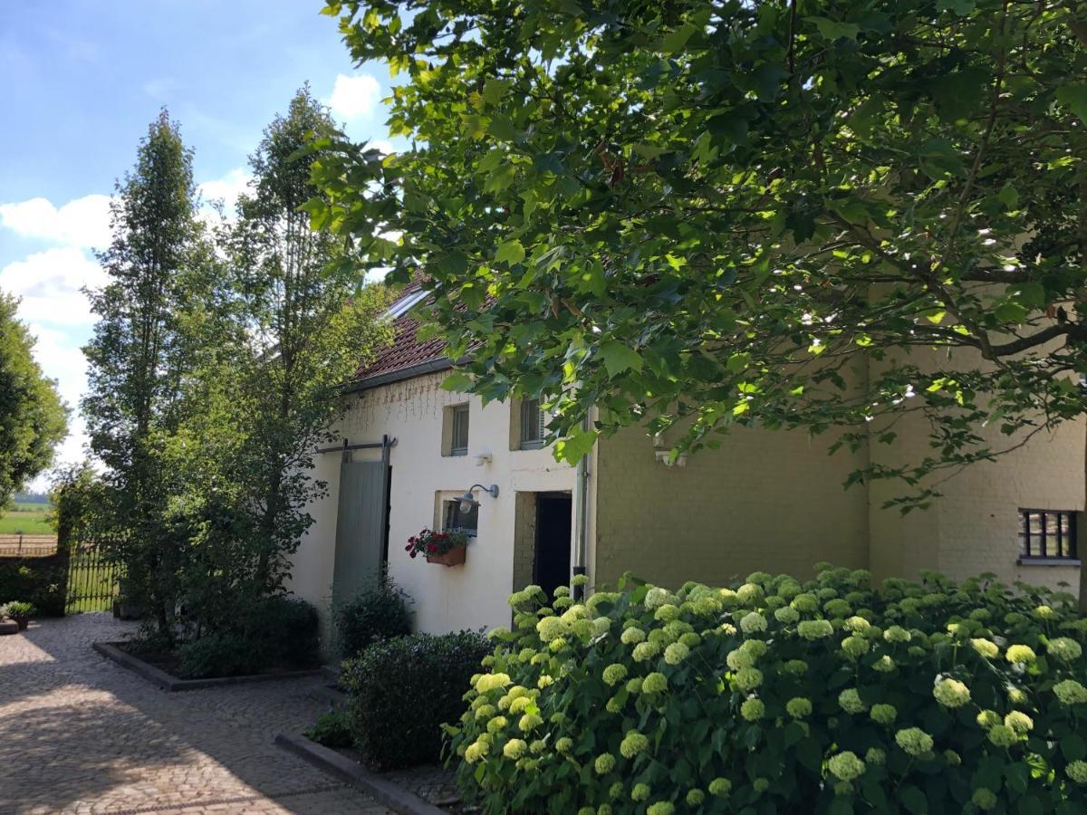 Welness Carpe Diem Ferienhaus Opglabbeek