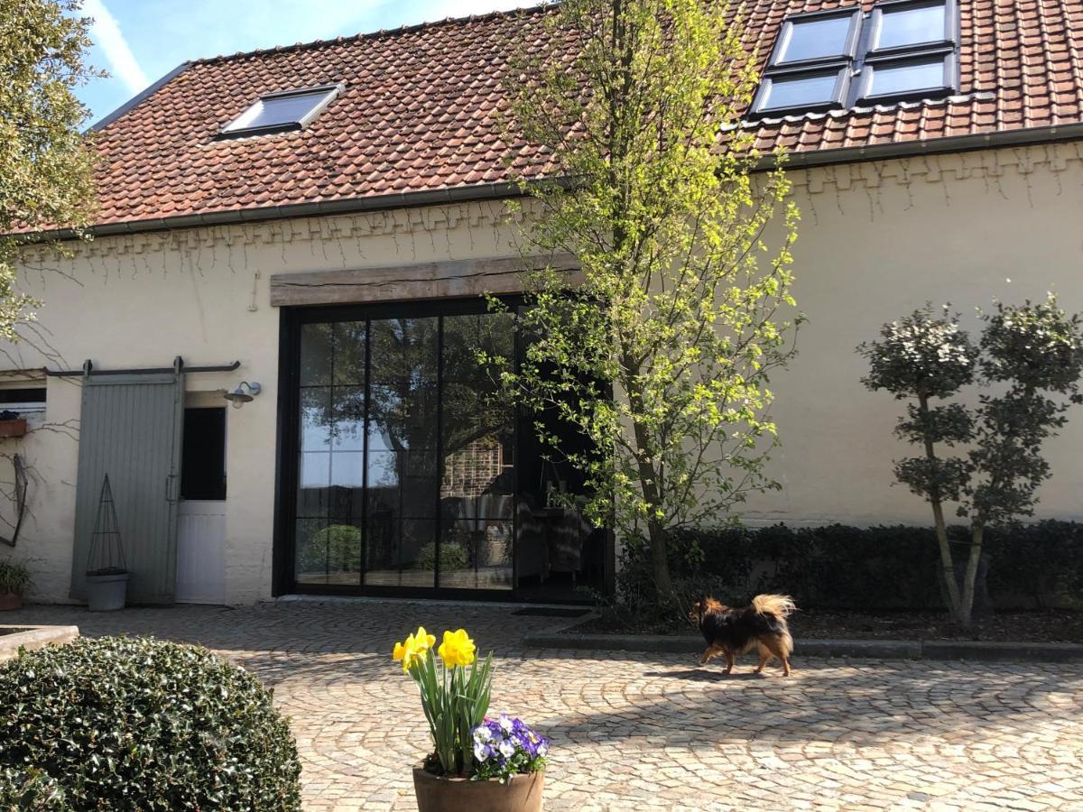 Welness Carpe Diem Ferienhaus Opglabbeek